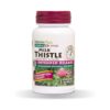 NATURES PLUS Herbal Actives, Milk Thistle Extended Release 500mg, 80% Silymarin, 30 Veg Tabs,